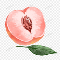 更新版2025年爱家影视APP应用